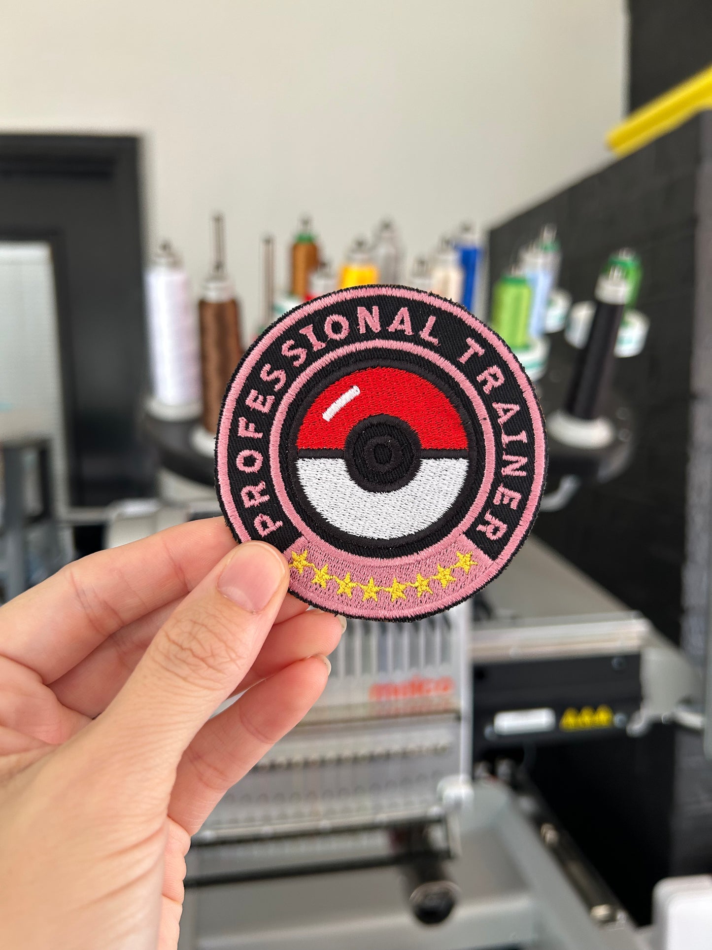 Profession Trainer Poké Ball Fairy Type