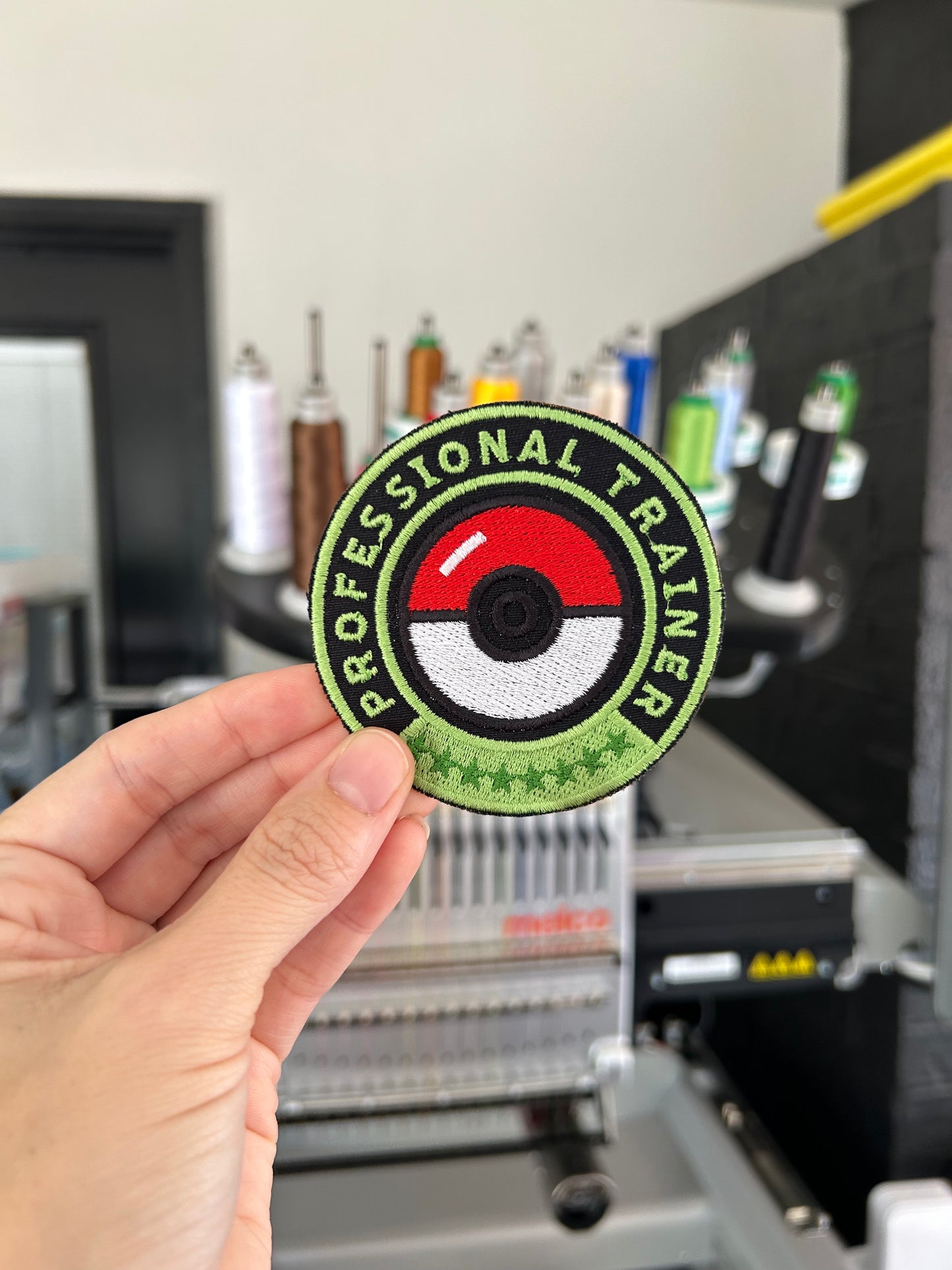 Profession Trainer Poké Ball Grass Type