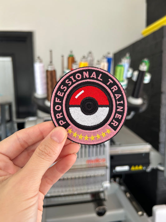 Profession Trainer Poké Ball Fairy Type